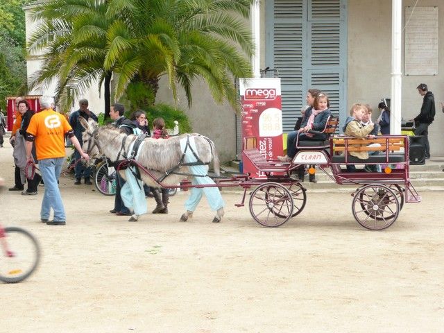 rodho 2013 (87).jpg